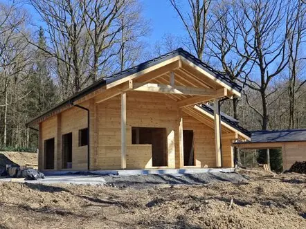 Maison en bois 2025
